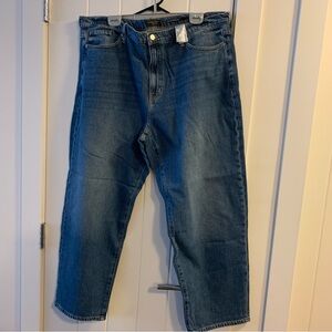 Banana Republic Plus Size Jeans